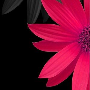 Meet your Posher, Ko